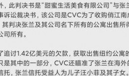 张兰信托爆料人是谁啊视频,揭秘神秘爆料人身份